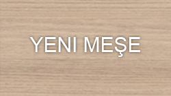 YENİ MEŞE